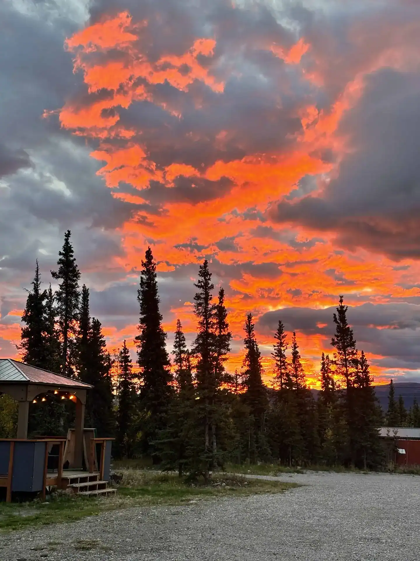 cta alaska sunset spruce